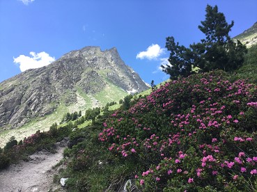 LOrgère03bis