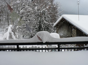 Vigiedécembre2012bûche