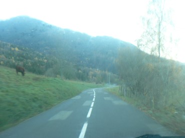 Routenovembre2015lumi&egrave;re