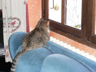 Vigiedécembre2008fenêtre