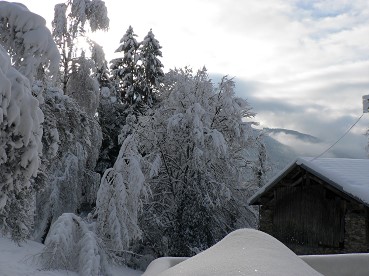Vigiedécembre2008matin
