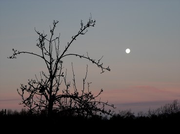 Vigiedécembre2015lune