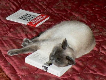 Vigiejanvier2016dana