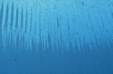 Vigiejanvier2016herse