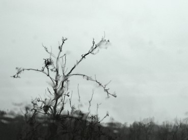 Vigiejanvier2016impromptubis