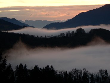 Vigiejanvier2016toutcommence