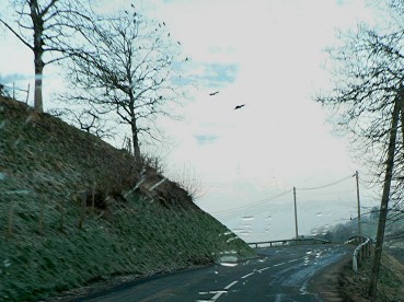 Routemars2016oiseaux