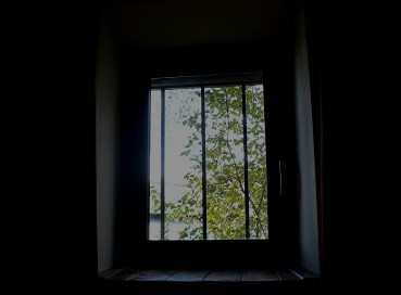 Vigienovembre2016grive