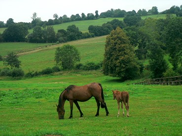 Normandie05