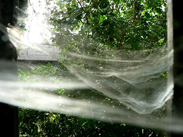 Vigiejuin2017dernierbal