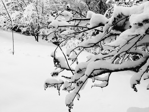 Vigiejanvier2019neigefinale