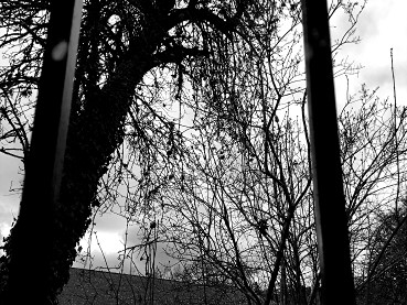 Vigiemars2019cielcouvert