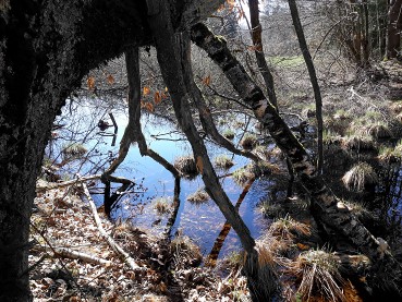 Vigiemars2019gouille2