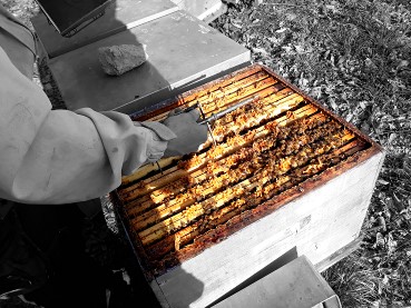 Vigiemars2019initiation1