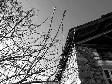 Vigiemars2019toutchange