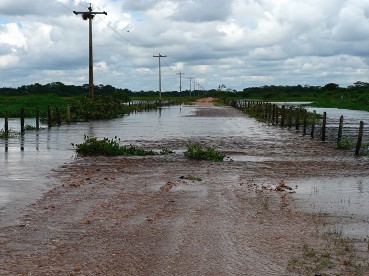 Pantanal11