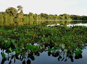 Pantanal24