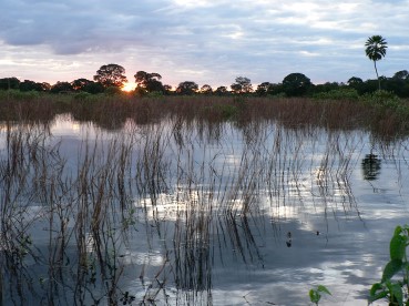 Pantanal26