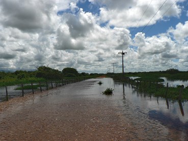 Pantanal31