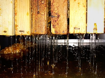 Vigiejuillet2019extraction