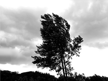 Vigiejuillet2019levent