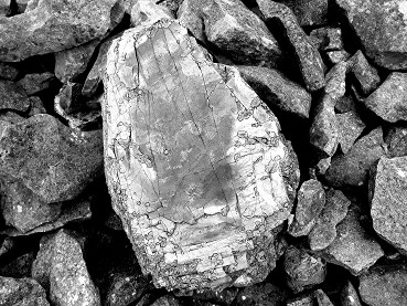 Vigiejuillet2019pierre