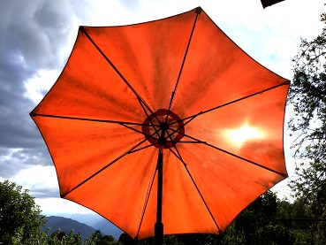 Parasol