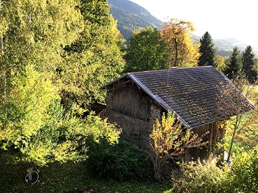 Vigieoctobre2019jardin