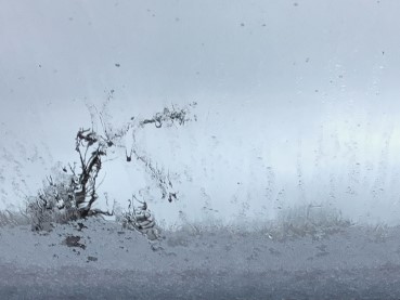 Vigie novembre 2020 07