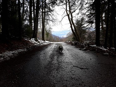 Vigiejanvier2021 courir