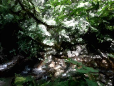 Vigiejuin22 illusion